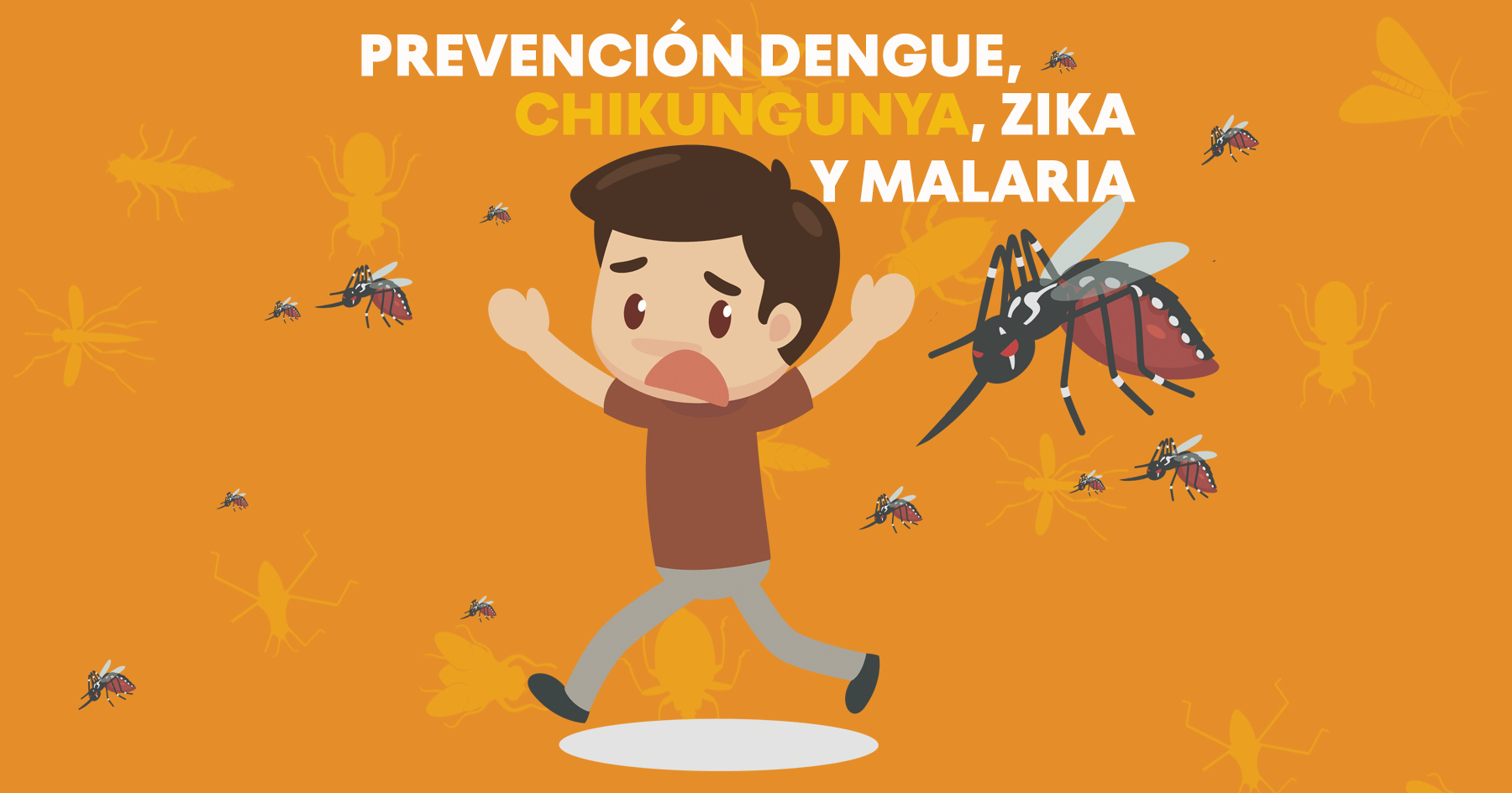 ¿Cómo protegerte correctamente de las enfermedades causadas por mosquitos?